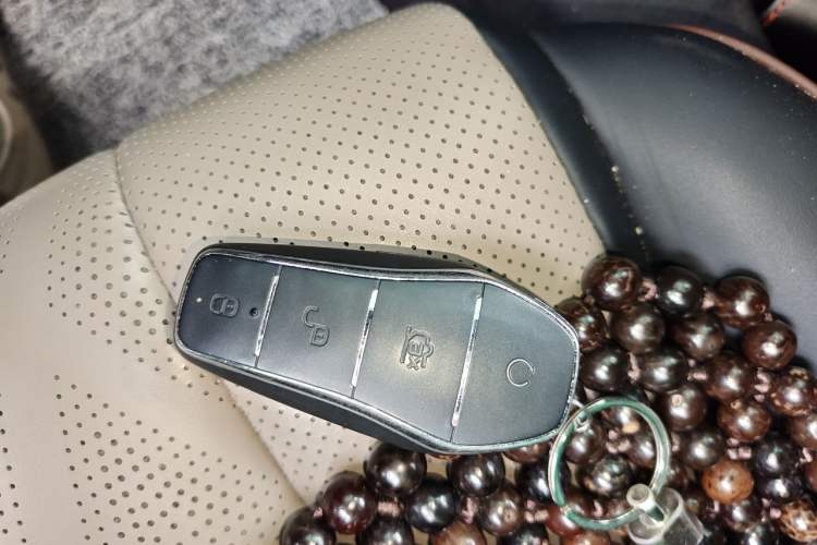 Used BYD Dolphin 2023 420 km Free Version Vehicle Key