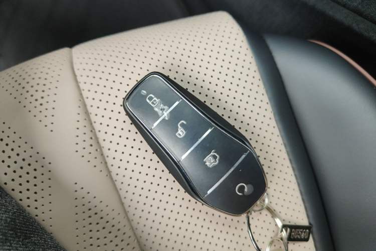 Used BYD Dolphin 2023 420 km Fashion Edition Vehicle Key