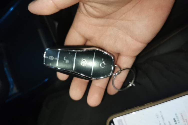 Used BYD Dolphin 2023 420 km Fashion Edition Vehicle Key