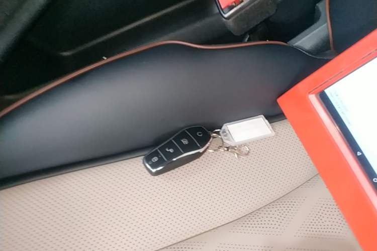 Used BYD Dolphin 2023 420 km Fashion Edition Vehicle Key