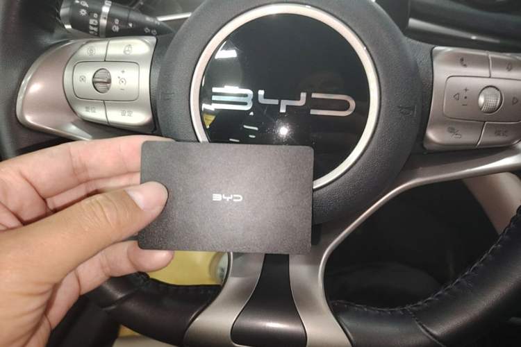 Used BYD Dolphin 2023 420 km Free Version Vehicle Key