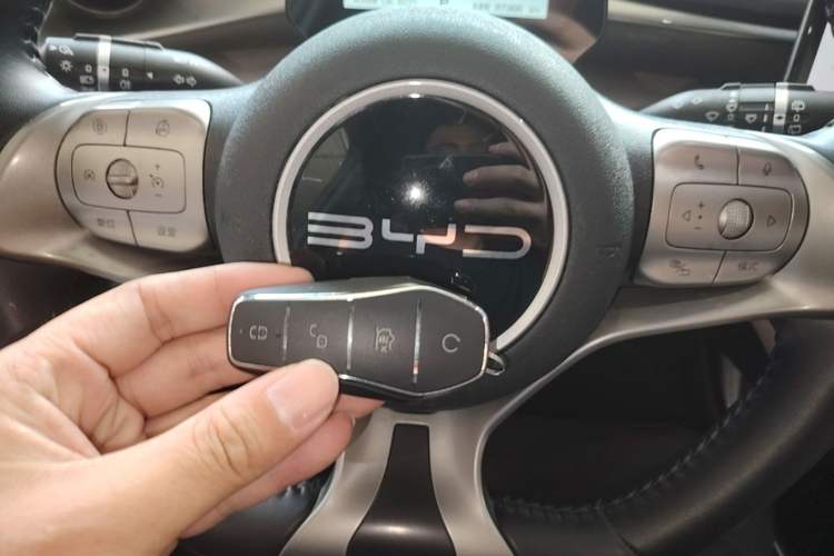 Used BYD Dolphin 2023 420 km Fashion Edition Vehicle Key