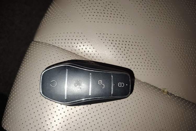 Used BYD Dolphin 2023 420 km Fashion Edition Vehicle Key