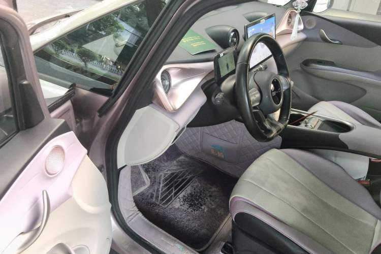 Used BYD Dolphin 2023 420 km Free Version Driver Seat