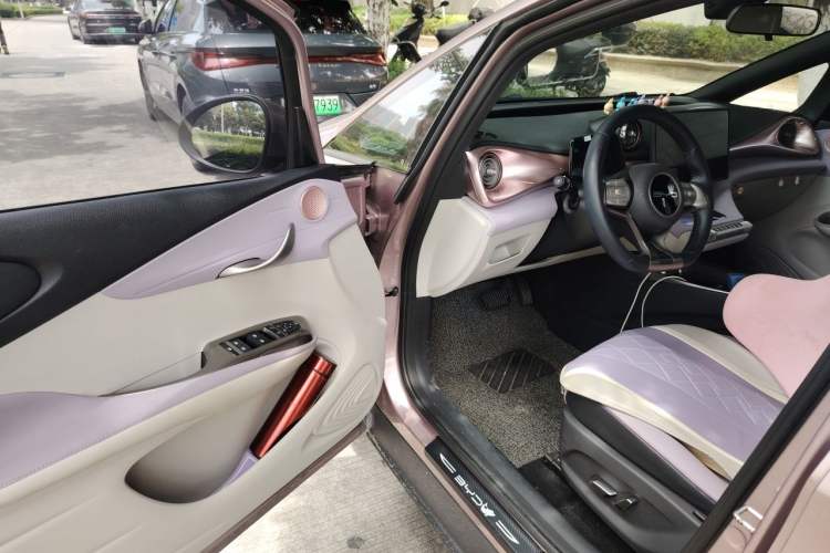 Used BYD Dolphin 2023 420 km Fashion Edition Driver Seat
