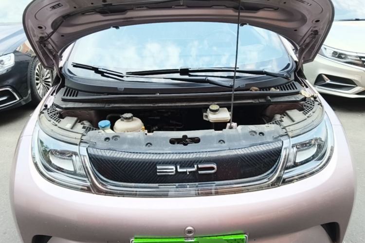 Used BYD Dolphin 2023 420 km Free Version Engine Bay