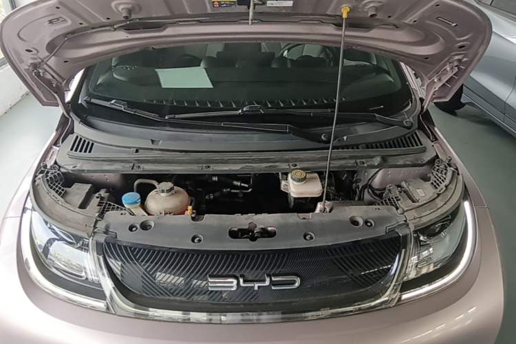 Used BYD Dolphin 2023 420 km Free Version Engine Bay