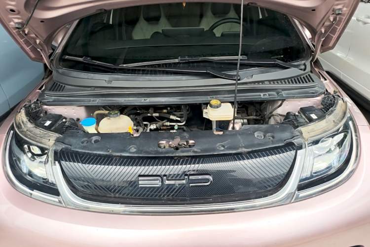 Used BYD Dolphin 2023 420 km Free Version Engine Bay