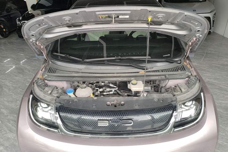 Used BYD Dolphin 2023 401km Knight Edition Engine Bay