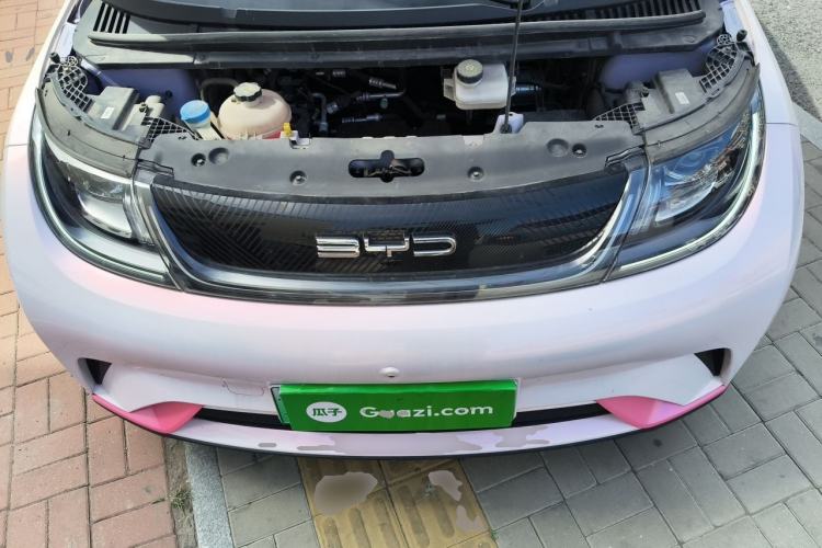 Used BYD Dolphin 2023 420 km Fashion Edition Engine Bay