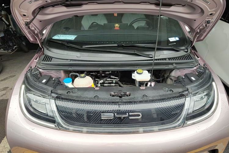 Used BYD Dolphin 2023 420 km Free Version Engine Bay