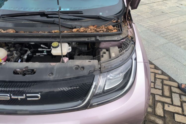 Used BYD Dolphin 2023 420 km Fashion Edition Engine Bay Left
