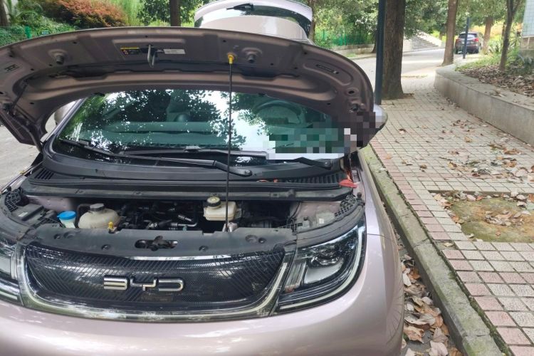 Used BYD Dolphin 2023 420 km Fashion Edition Engine Bay Left