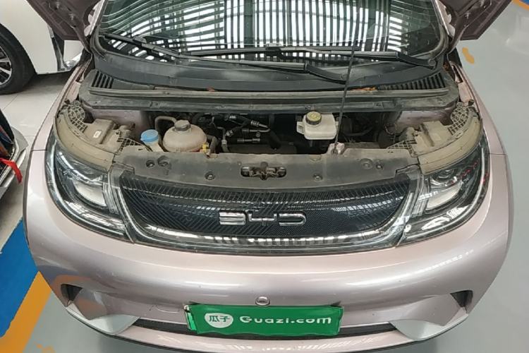 Used BYD Dolphin 2023 420 km Free Version Engine Bay