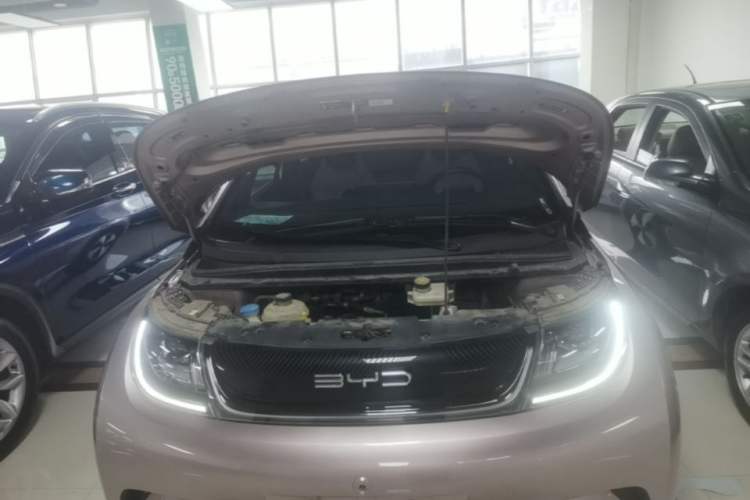 Used BYD Dolphin 2023 420 km Free Version Engine Bay