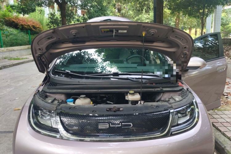 Used BYD Dolphin 2023 420 km Fashion Edition Engine Bay
