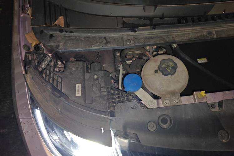 Used BYD Dolphin 2023 420 km Free Version Engine Bay Right