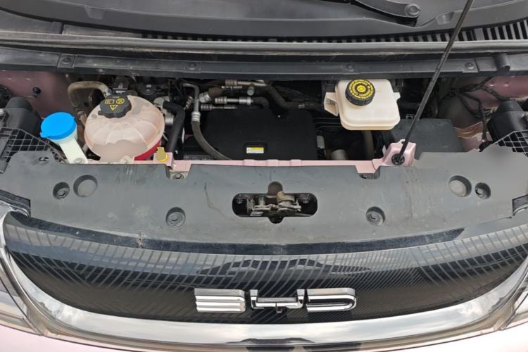 Used BYD Dolphin 2023 420 km Free Version Engine Bay