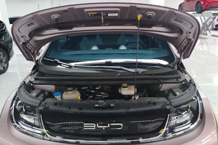 Used BYD Dolphin 2023 420 km Fashion Edition Engine Bay