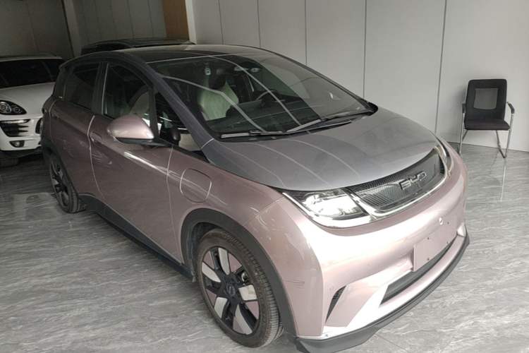 Used BYD Dolphin 2023 401km Knight Edition Exterior 1