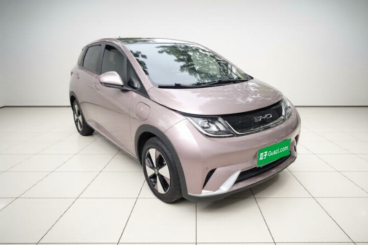 Used BYD Dolphin 2023 420 km Fashion Edition Exterior 2