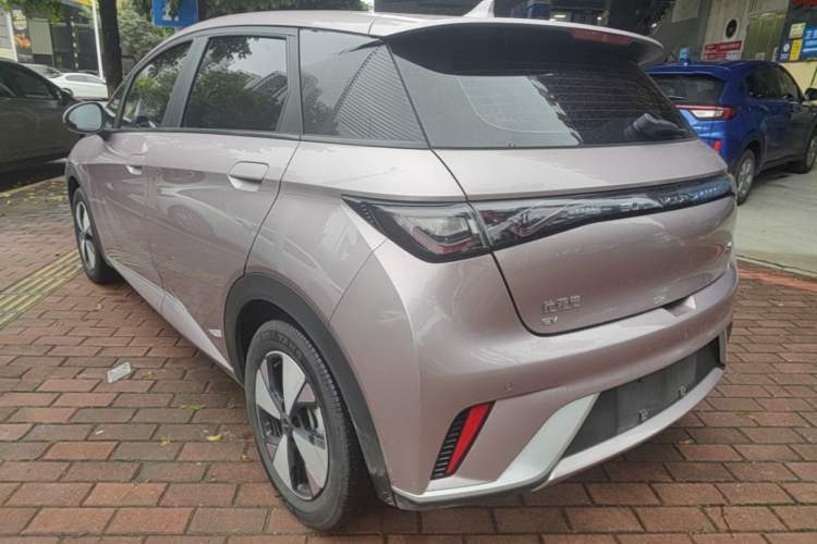 Used BYD Dolphin 2023 420 km Free Version Exterior 2