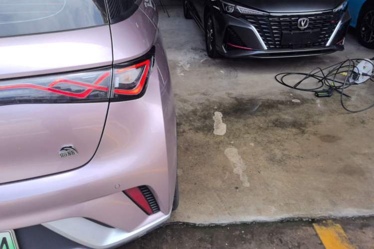 Used BYD Dolphin 2023 420 km Free Version Exterior 3