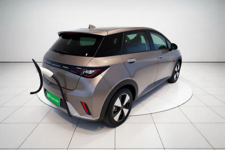 Used BYD Dolphin 2023 420 km Fashion Edition Exterior 5