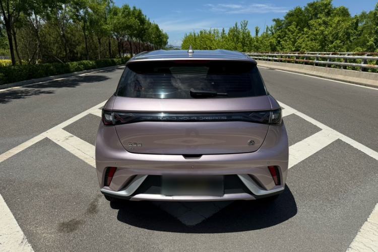 Used BYD Dolphin 2023 420 km Free Version Exterior 6