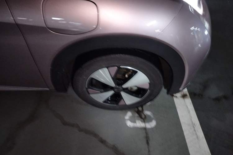 Used BYD Dolphin 2023 420 km Fashion Edition Exterior 7