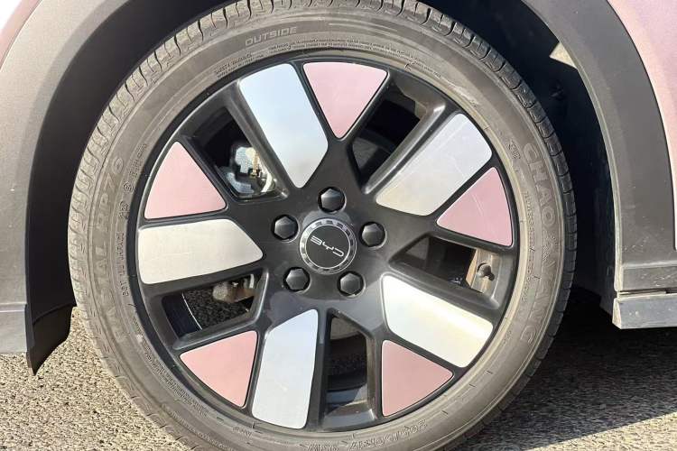 Used BYD Dolphin 2023 401km Knight Edition Exterior 8