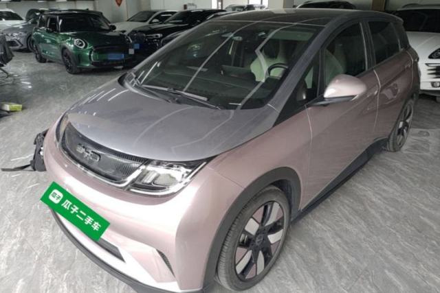 Used BYD Dolphin 2023 401km Knight Edition