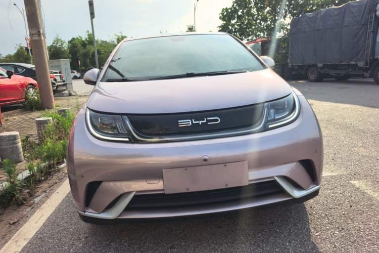 Used BYD Dolphin 2023 420 km Fashion Edition Front