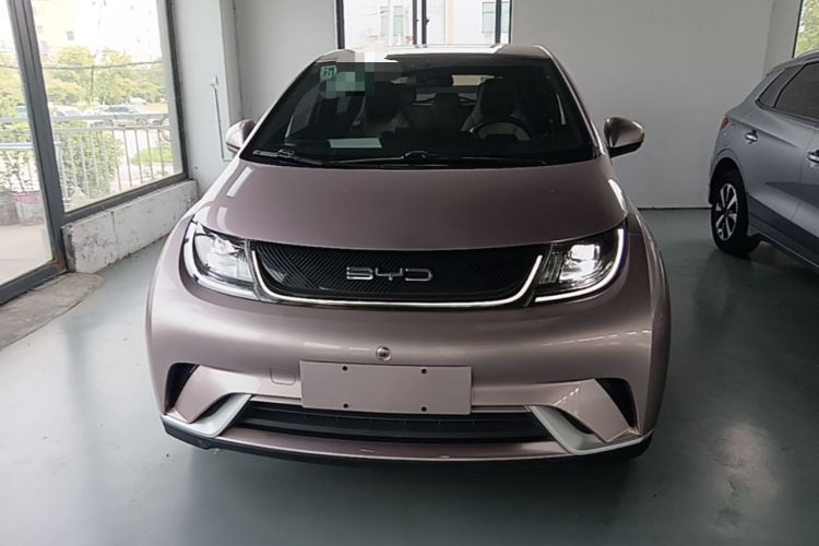 Used BYD Dolphin 2023 420 km Free Version Front