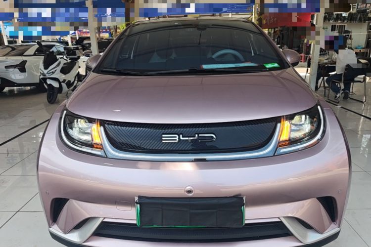 Used BYD Dolphin 2023 420 km Fashion Edition Front