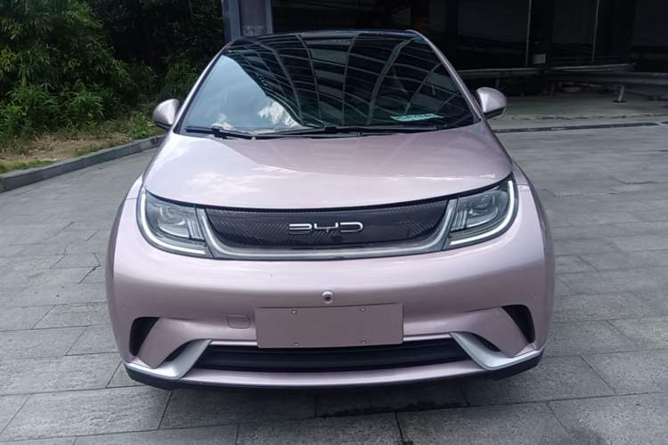 Used BYD Dolphin 2023 420 km Fashion Edition Front