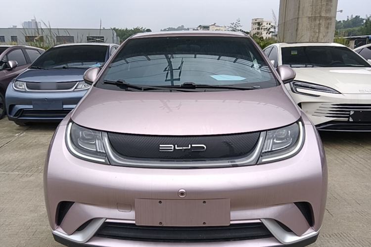 Used BYD Dolphin 2023 420 km Free Version Front