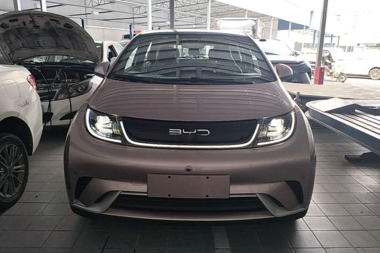 Used BYD Dolphin 2023 420 km Fashion Edition Front