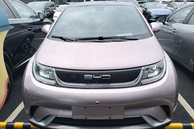 Used BYD Dolphin 2023 420 km Fashion Edition Front