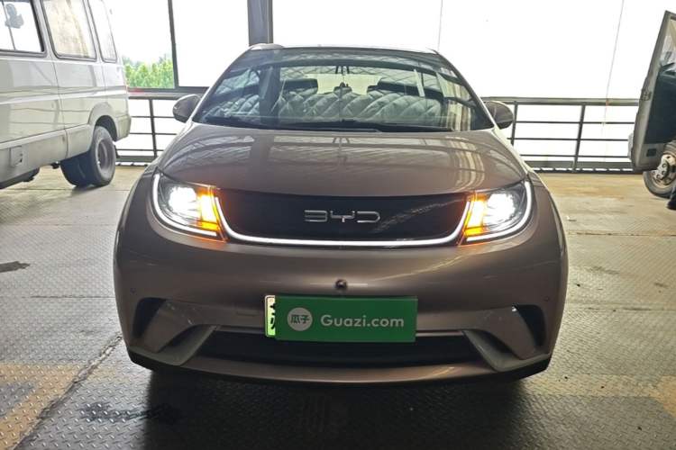 Used BYD Dolphin 2023 420 km Fashion Edition Front