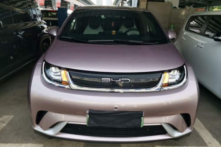 Used BYD Dolphin 2023 420 km Free Version Front