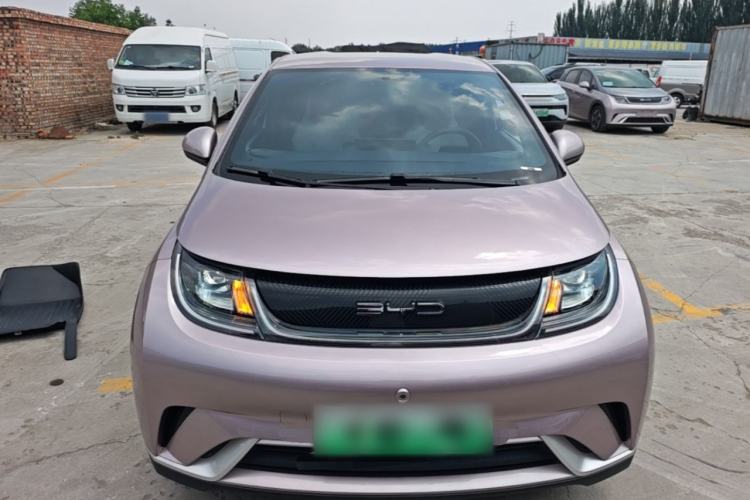 Used BYD Dolphin 2023 420 km Free Version Front