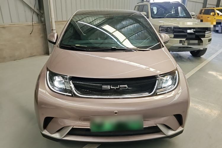Used BYD Dolphin 2023 420 km Fashion Edition Front