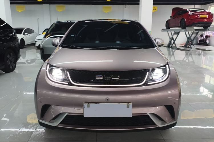 Used BYD Dolphin 2023 420 km Fashion Edition Front