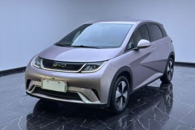 Used BYD Dolphin 2023 420 km Free Version