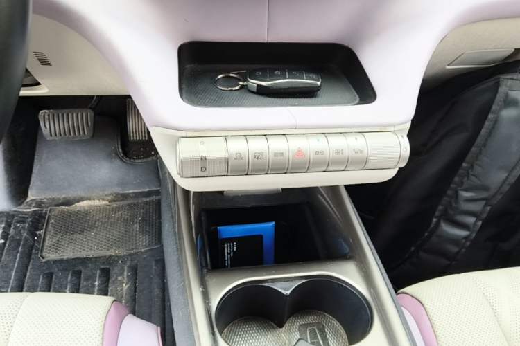 Used BYD Dolphin 2023 420 km Free Version Gear Lever