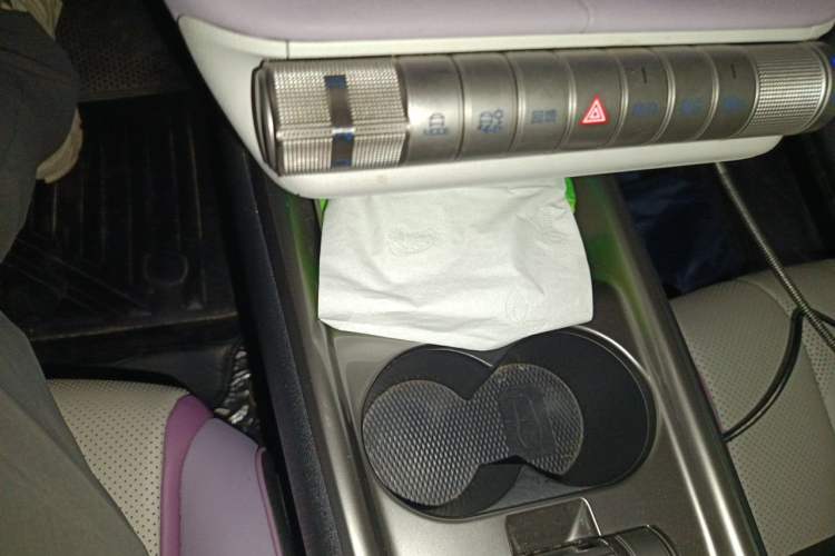 Used BYD Dolphin 2023 420 km Fashion Edition Gear Lever
