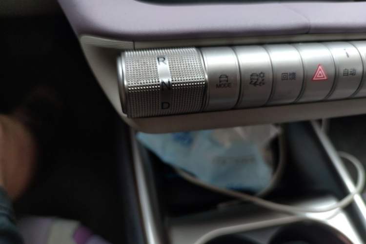 Used BYD Dolphin 2023 420 km Free Version Gear Lever
