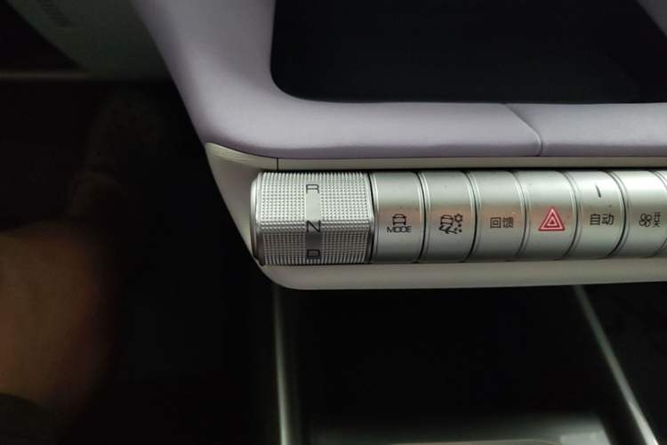 Used BYD Dolphin 2023 420 km Free Version Gear Lever
