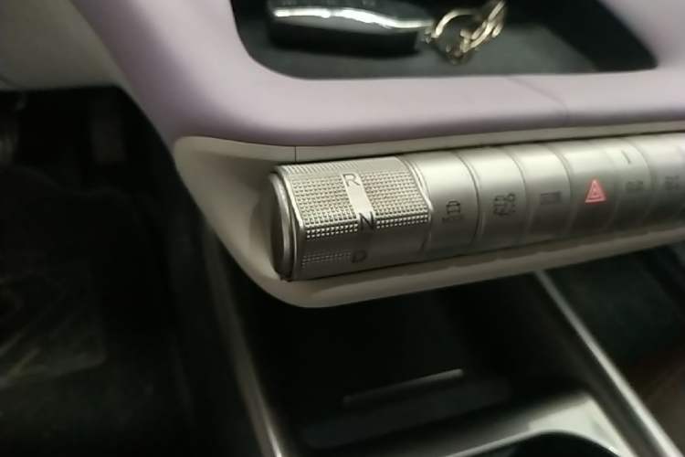 Used BYD Dolphin 2023 420 km Free Version Gear Lever
